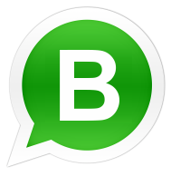 whatsapp-business.png